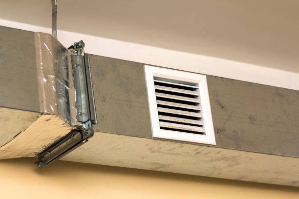 Best Duct Cleaning Specialists  in Carpentersvle, IL